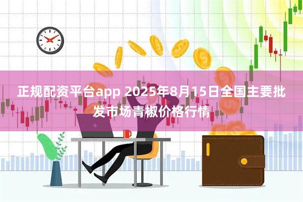 正规配资平台app 2025年8月15日全国主要批发市场青椒价格行情